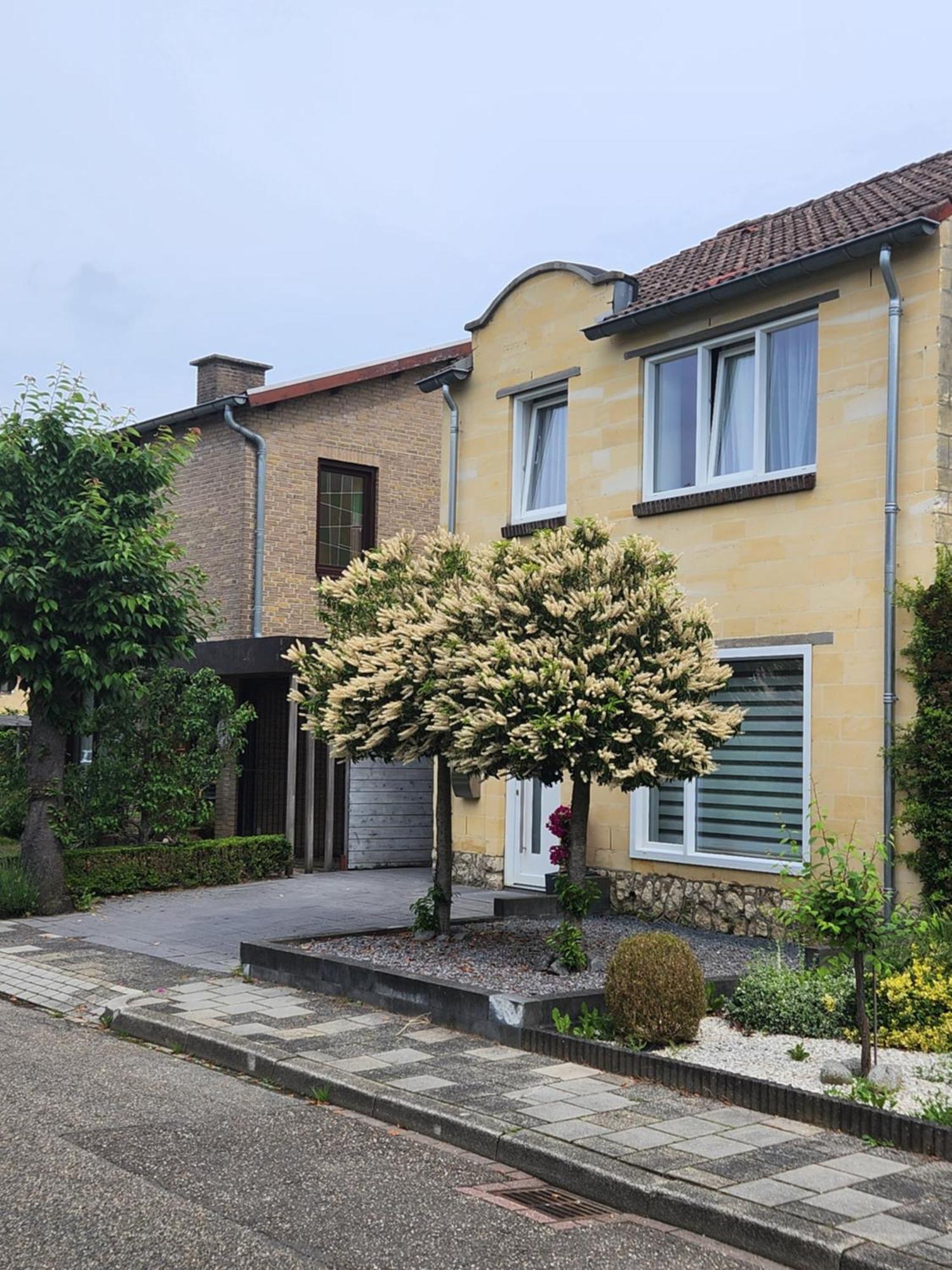 Casa Cinco Villa Valkenburg aan de Geul Exterior photo